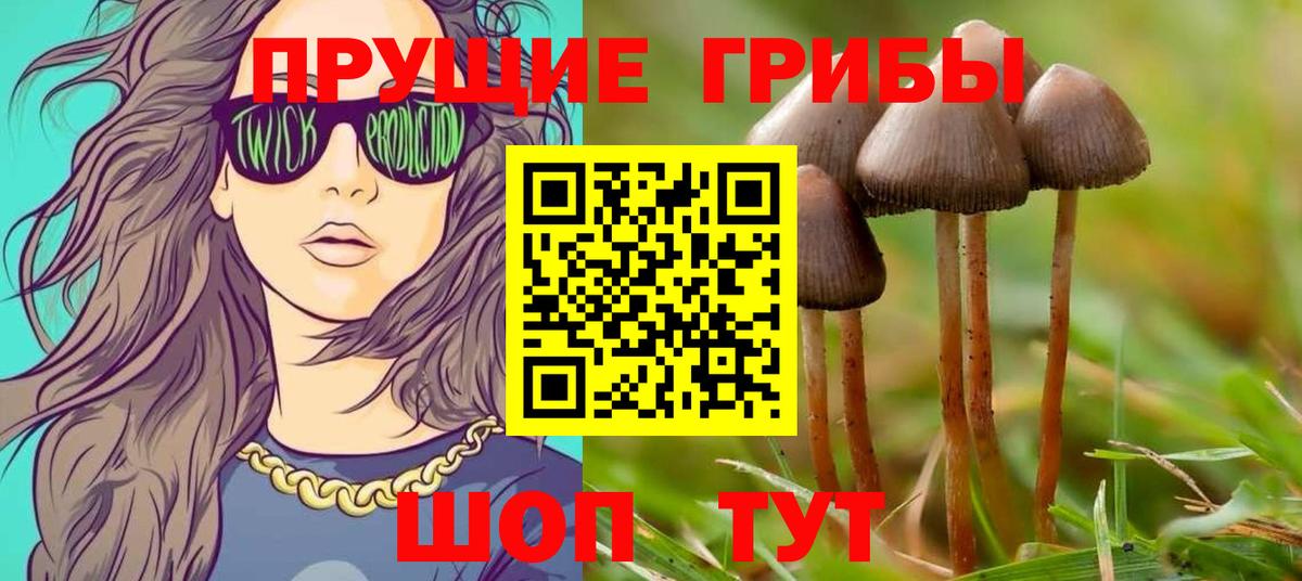 хочу   Псилоцибиновые грибы прущие грибы  Вход с VPN  Псилоцибиновые грибы Psilocybe  Славянск-на-Кубани 